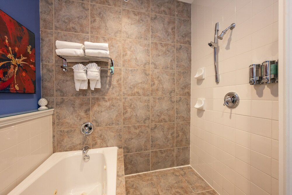 Фото The Mermaid & Alligator