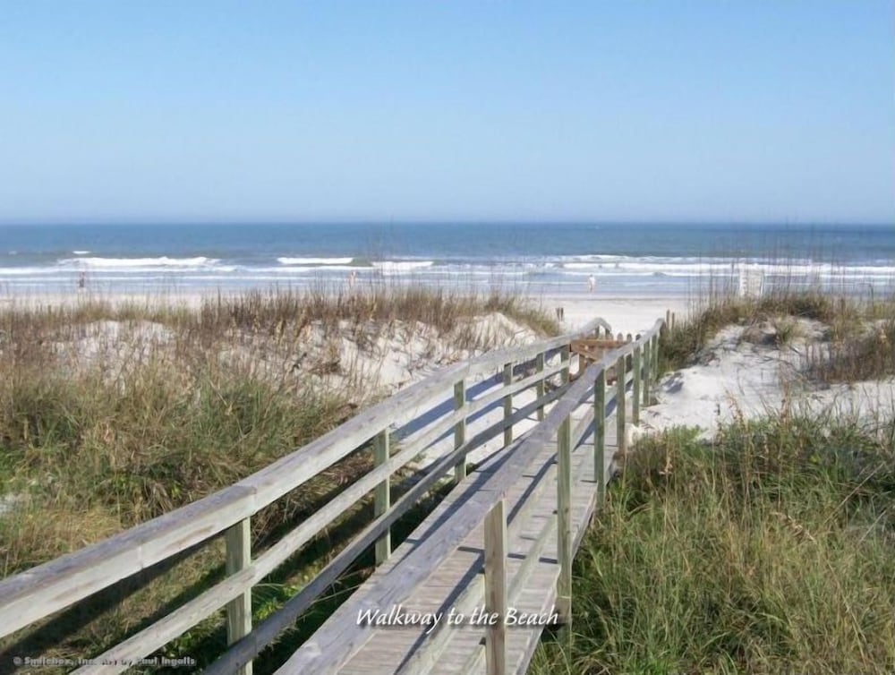 Фото Sea Urchin 39