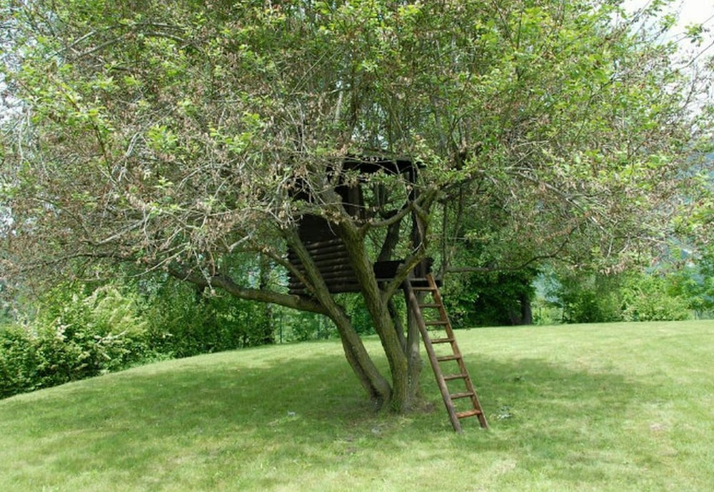 Фото Villa Il Castagno