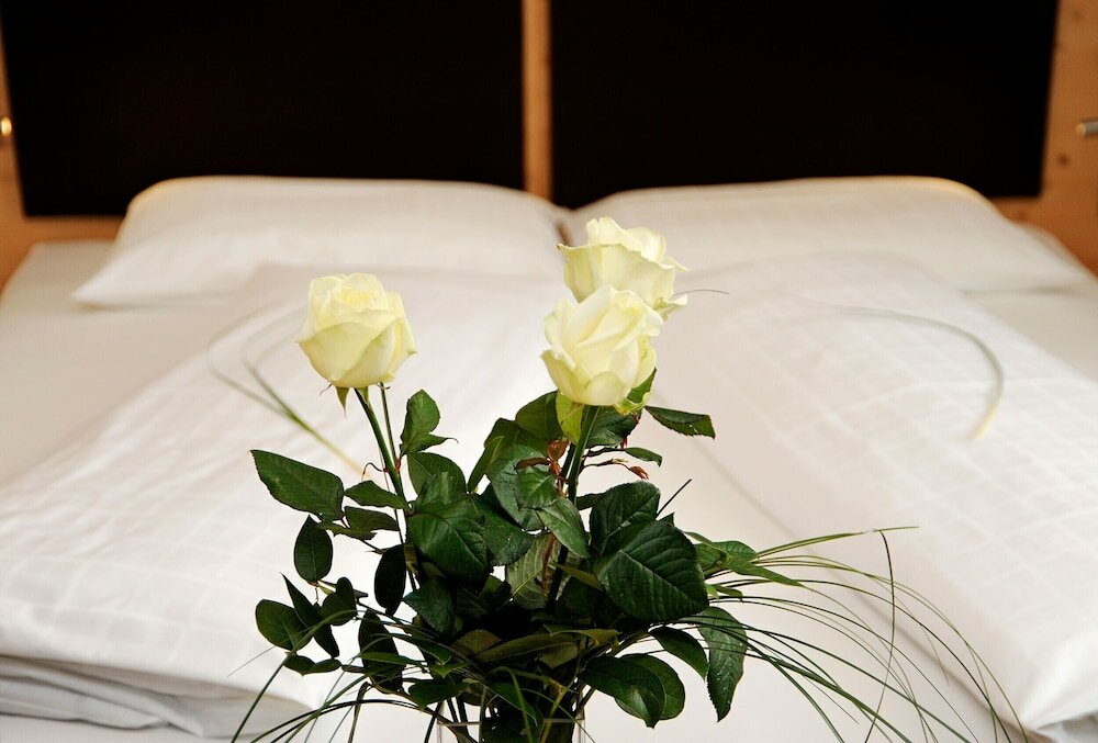 Фото Hotel Jasmin