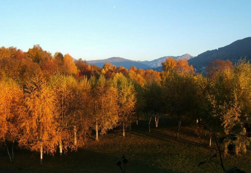Фото Villa Il Castagno