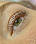 Karina Wow Lami (1st Brestskaya Street, 66), eyebrow and eyelash salon