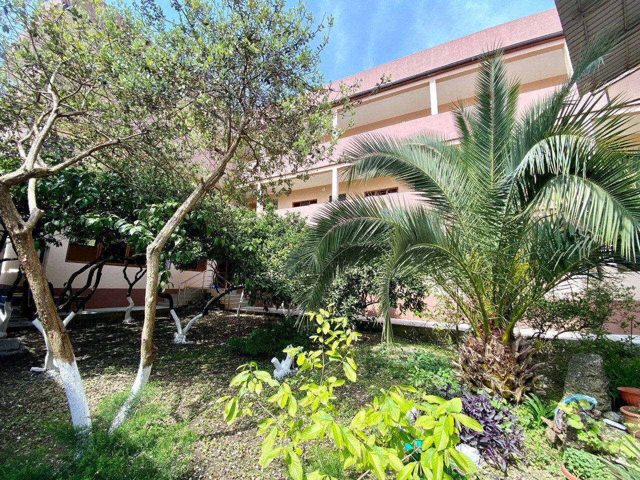 Фото Калипсо