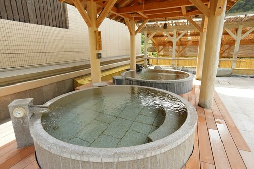 Гостиница Hakone Yumoto Onsen Tenseien