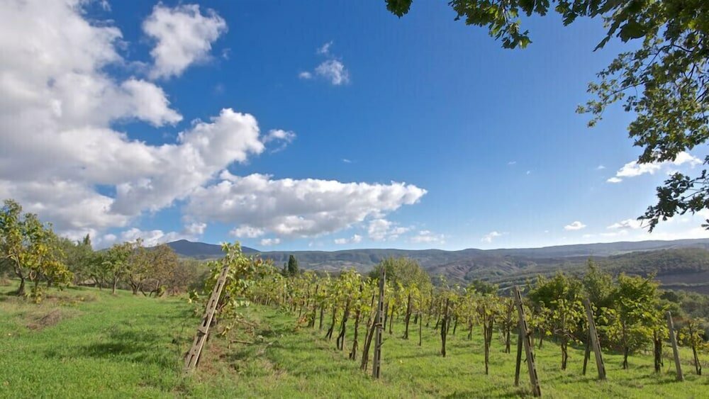 Фото Agriturismo Corvaia