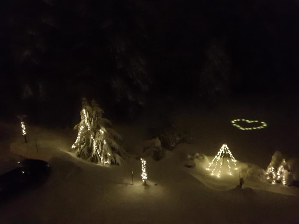 Фото Pension Haus Am Waldesrand