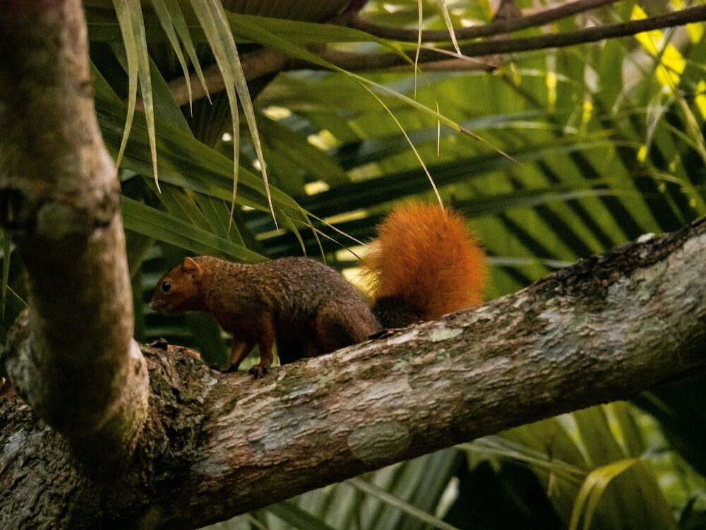 Фото Zanzi Resort