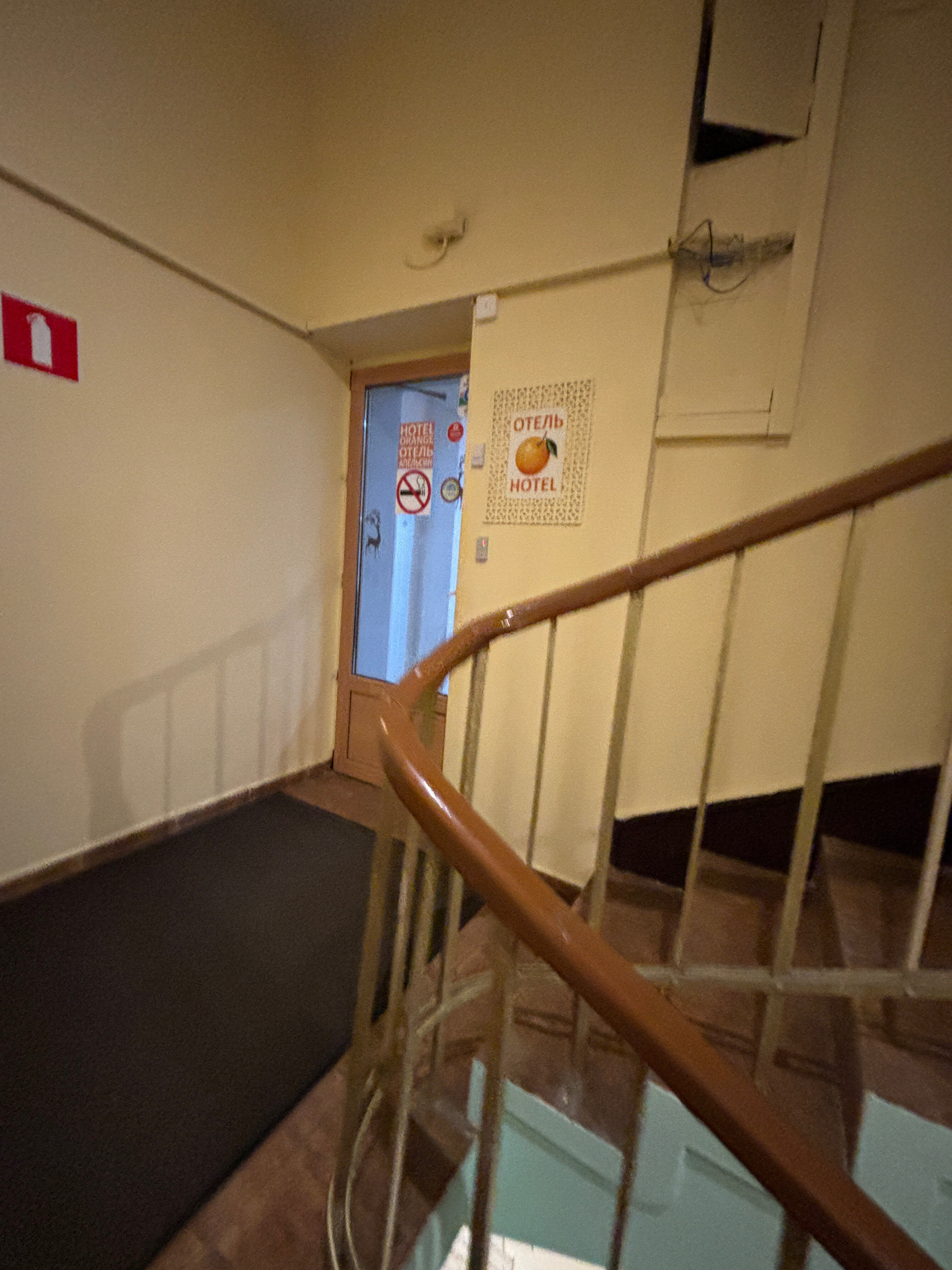 Фото Апельсин