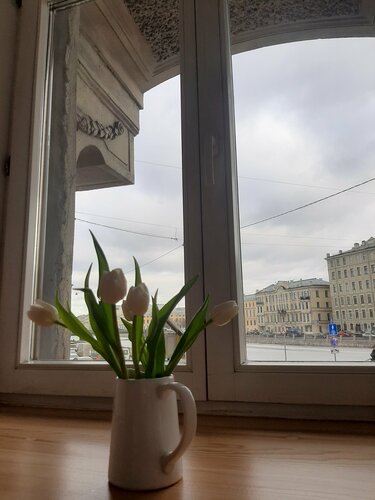 Гостевой дом SwissSTAR в Санкт-Петербурге