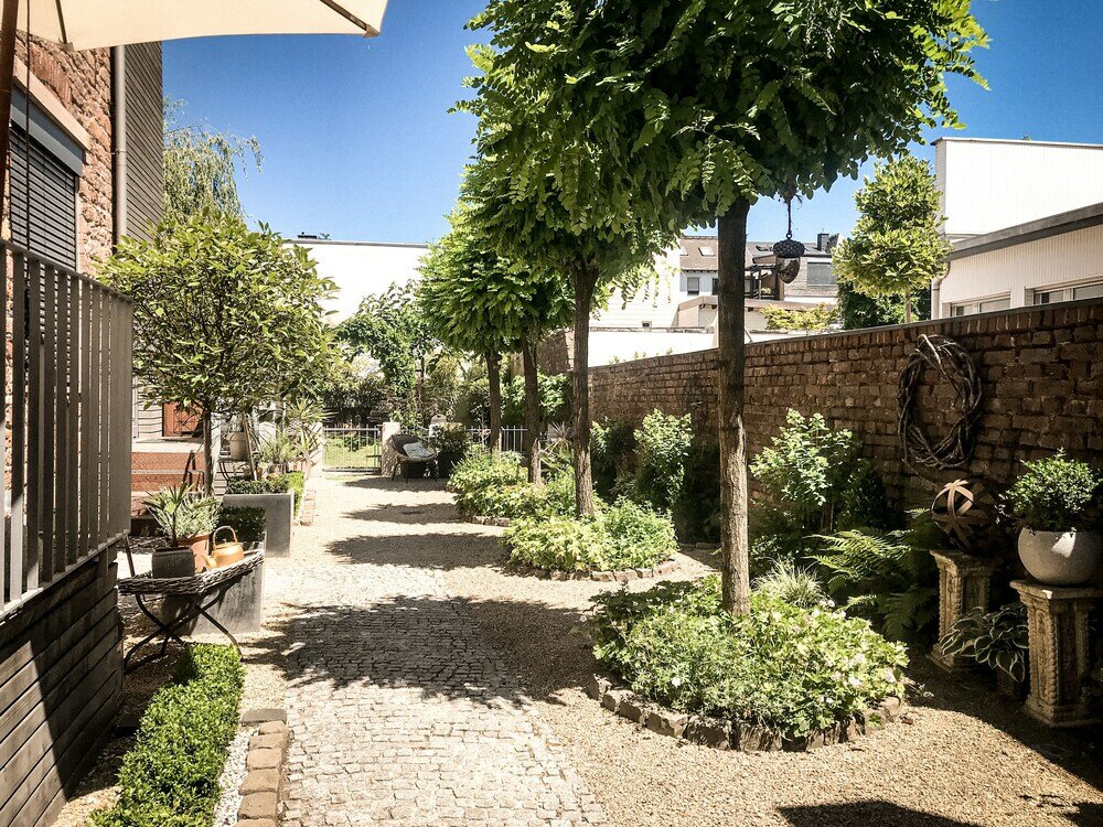 Фото The Backyard