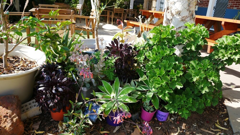 Фото Geraldton Backpackers on the Foreshore