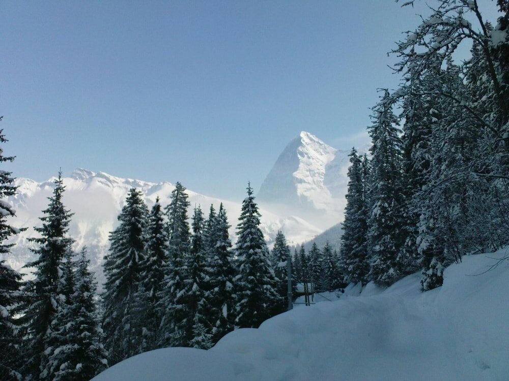 Фото Pension Gimmelwald