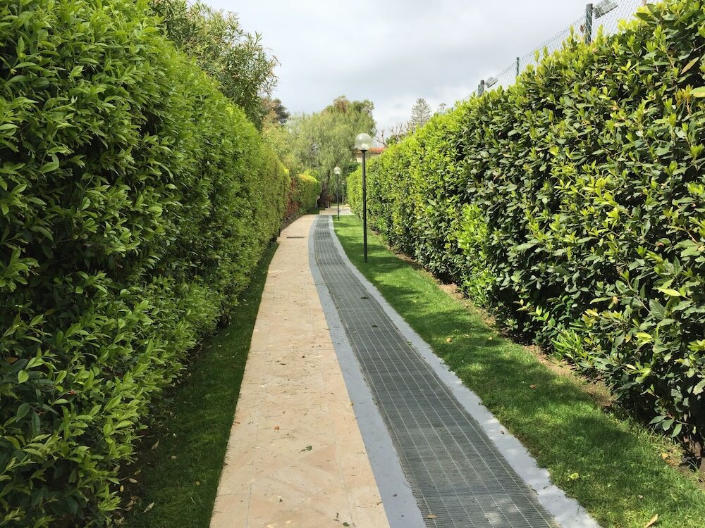 Фото Casa Azalea