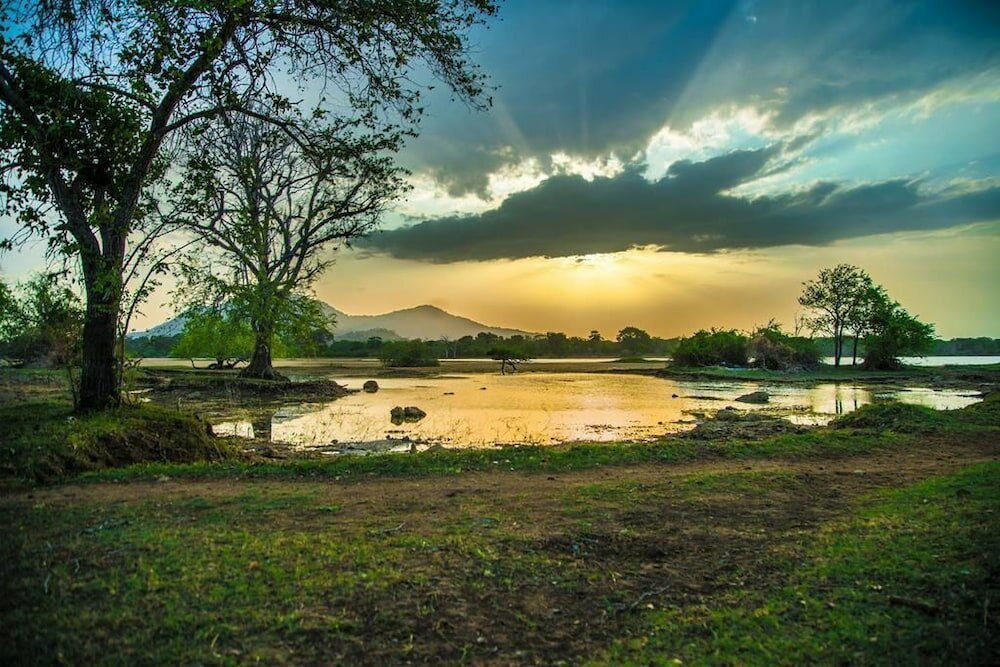 Фото Wadula Safari Yala