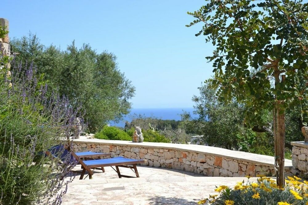 Фото Pajara Rugiada