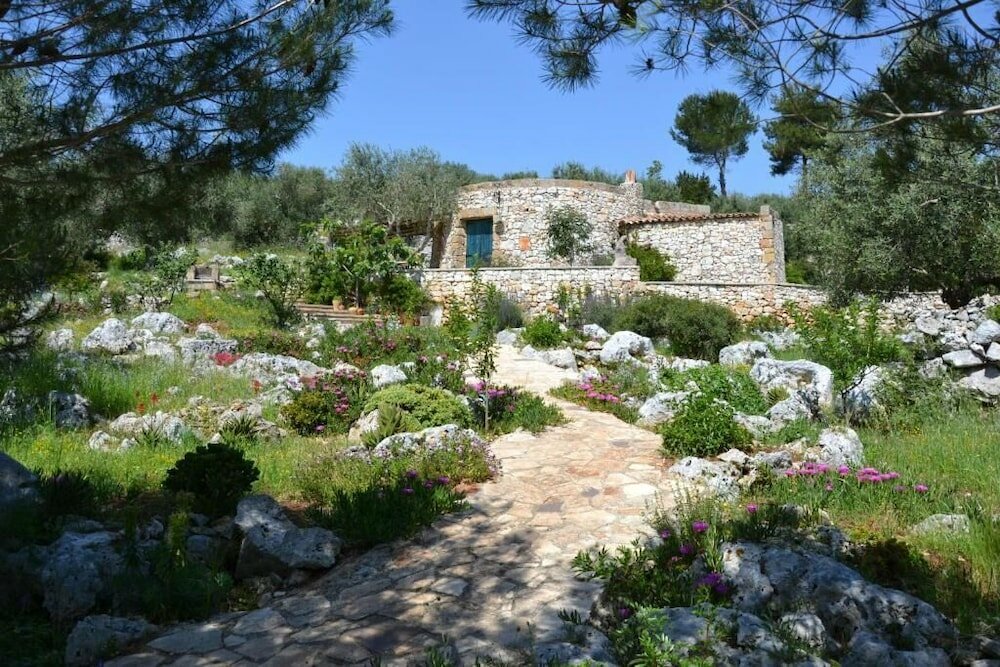 Фото Pajara Rugiada