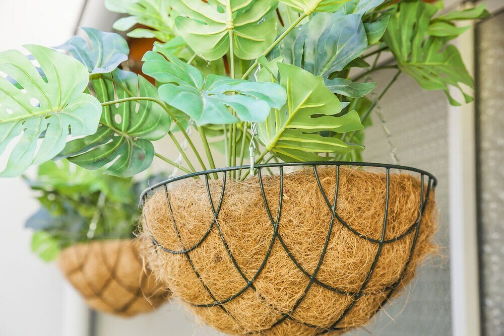 Фото Apartamento À Francos Metro 1