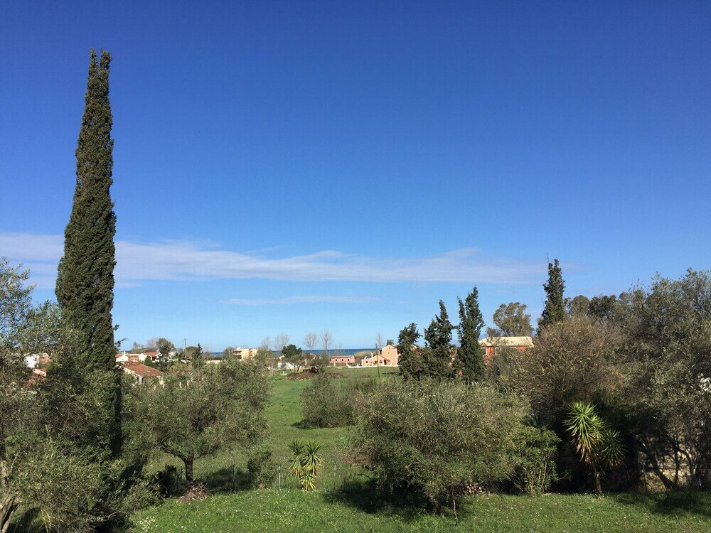 Фото Alexander Apartments