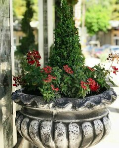 Гостиница Arabesque Hotel