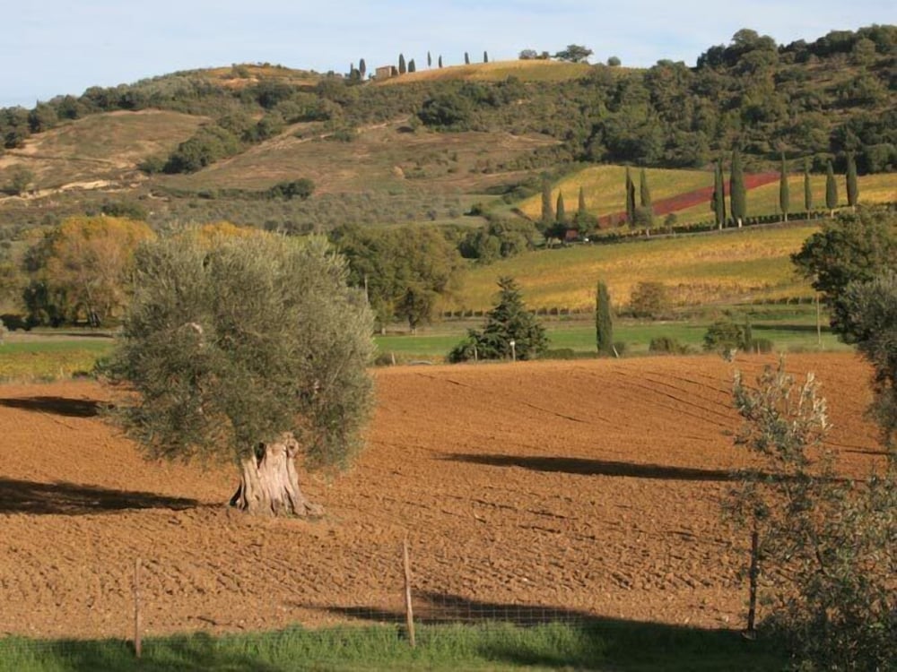 Фото Agriturismo Tisignana