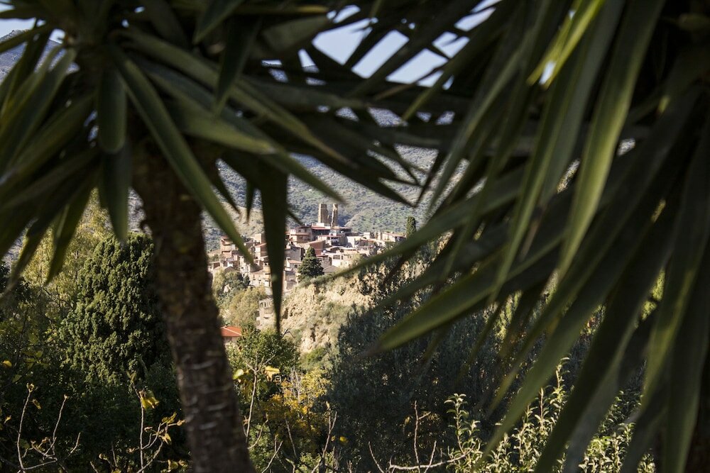 Фото Le due querce