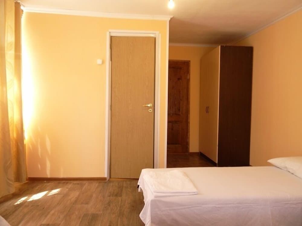 Фото Ласточка