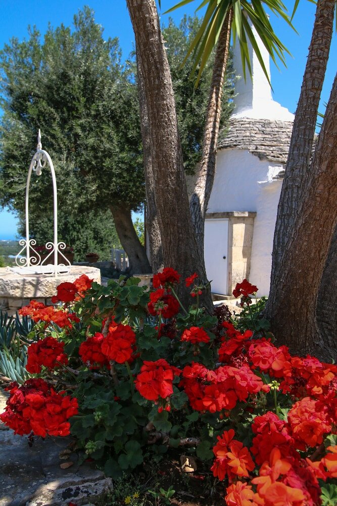 Фото Trulli della Contessa