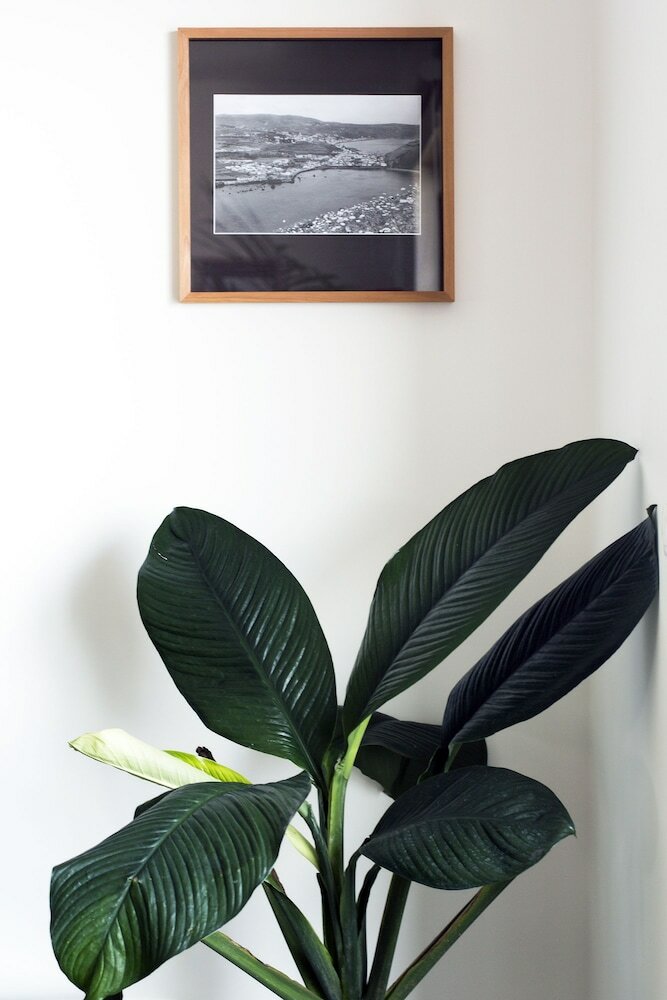 Фото Monte da Guia Alojamento Local