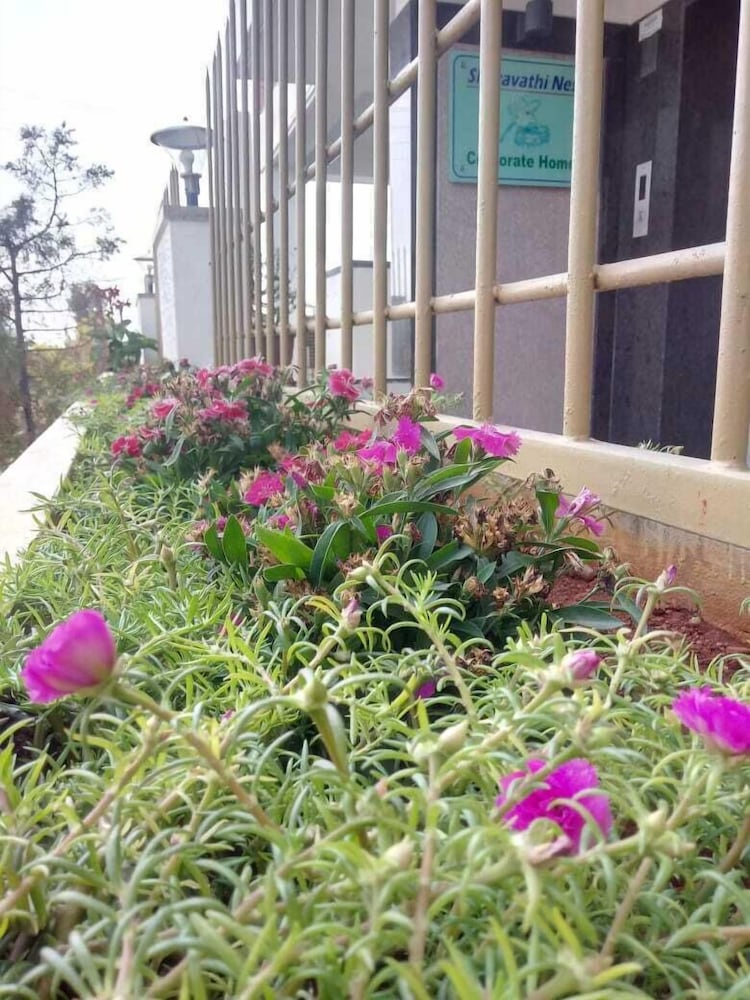 Фото Zions Hotel