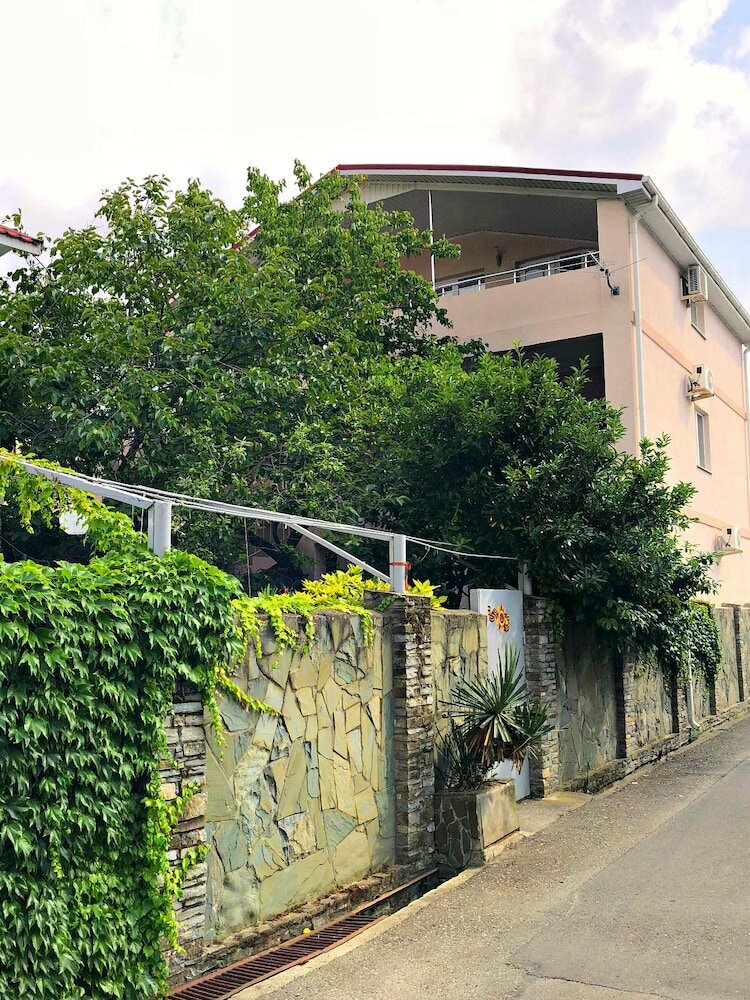 Фото Абрикос