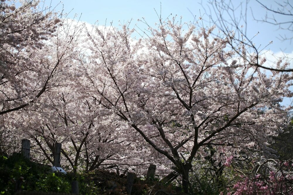 Фото Stay Omihachiman Ekimae Inn