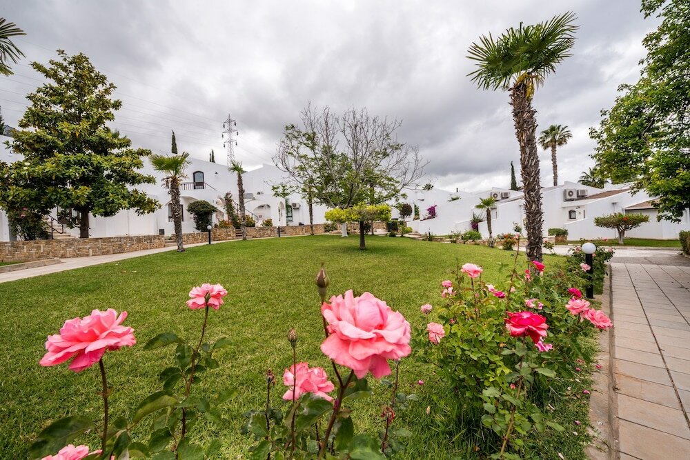 Фото The Olive Tree Hotel