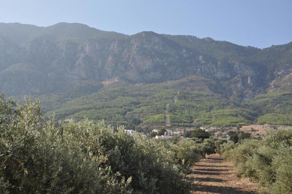 Фото Hotel Sempati