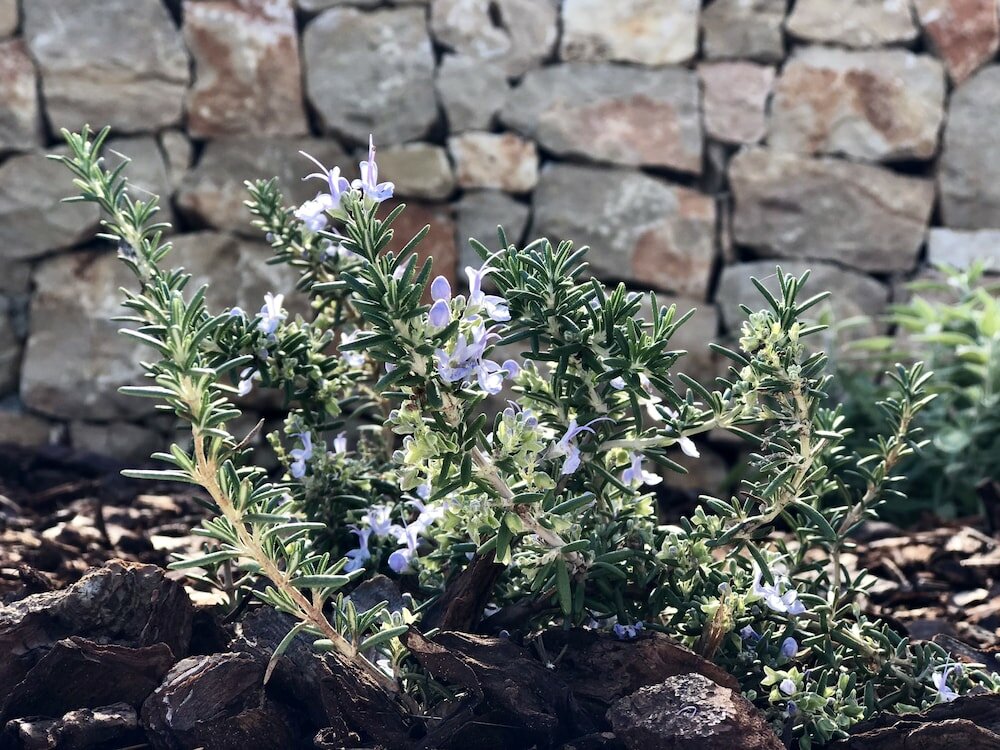 Фото Casa Encelado 10