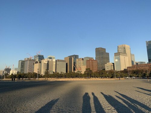 Гостиница Hotel Owl Tokyo Shinbashi в Токио