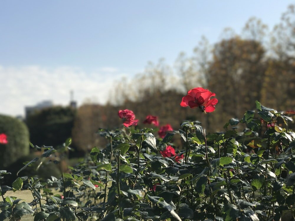 Фото Hotel Wing International Select Ikebukuro