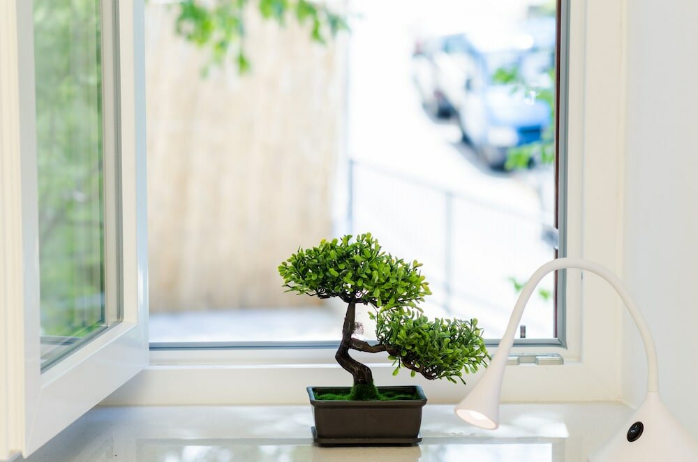 Фото Shining Star Apartments