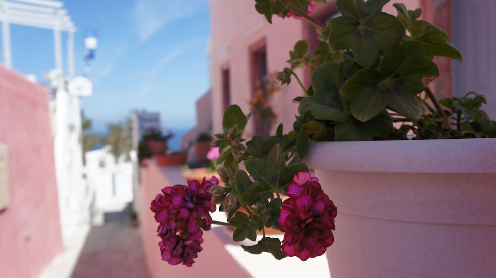 Фото Marcos Rooms