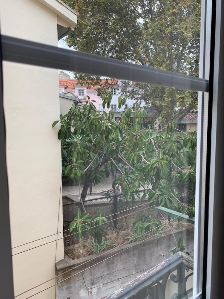 Фото Apartments Center Castelo