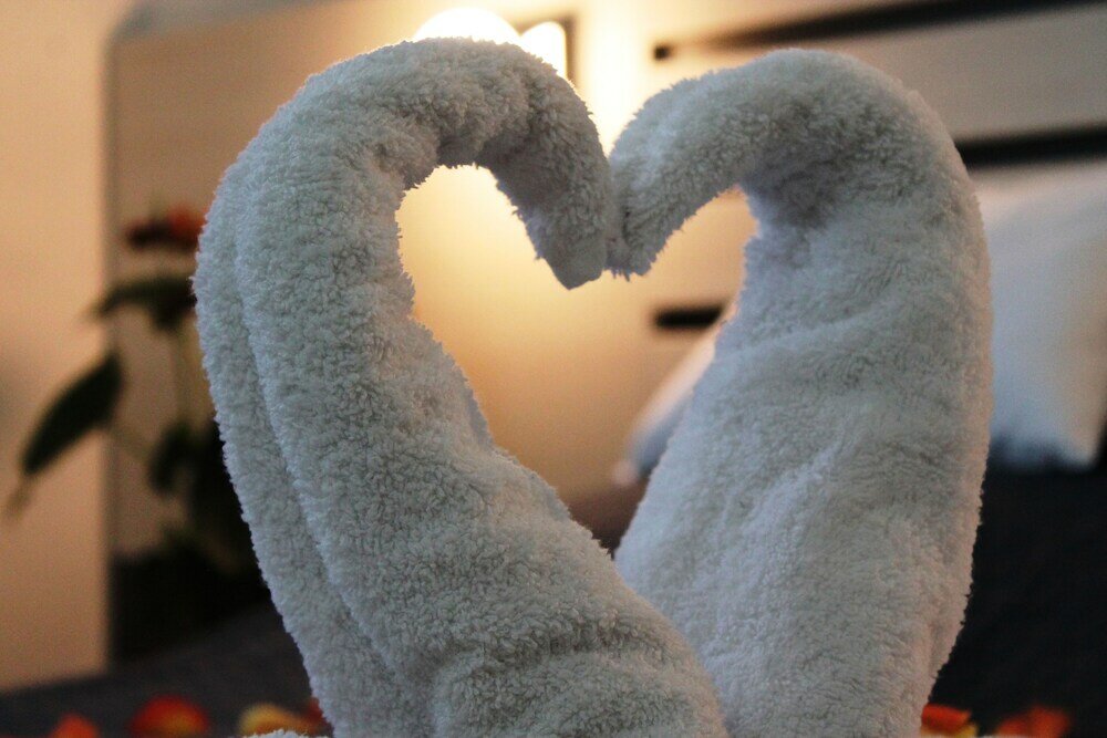 Фото Garni Hotel 11Tica DM