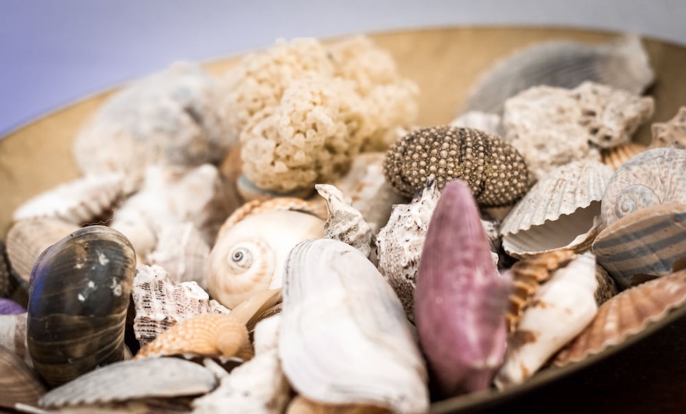 Фото MyHomeInComo - MC Julian Apartment