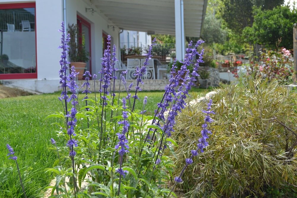 Фото Borgo Rosso di Sera Resort Country Chic