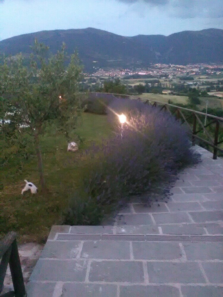 Фото B&b Col di Piagge