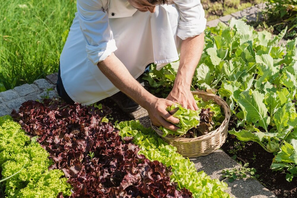 Фото Berglandhotel Untertheimerhof