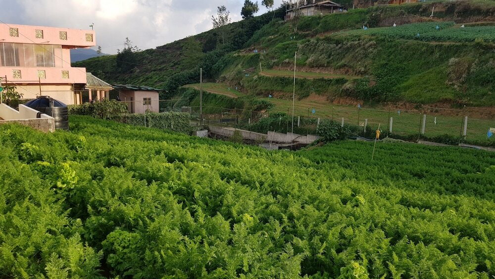 Фото Chandrasobana