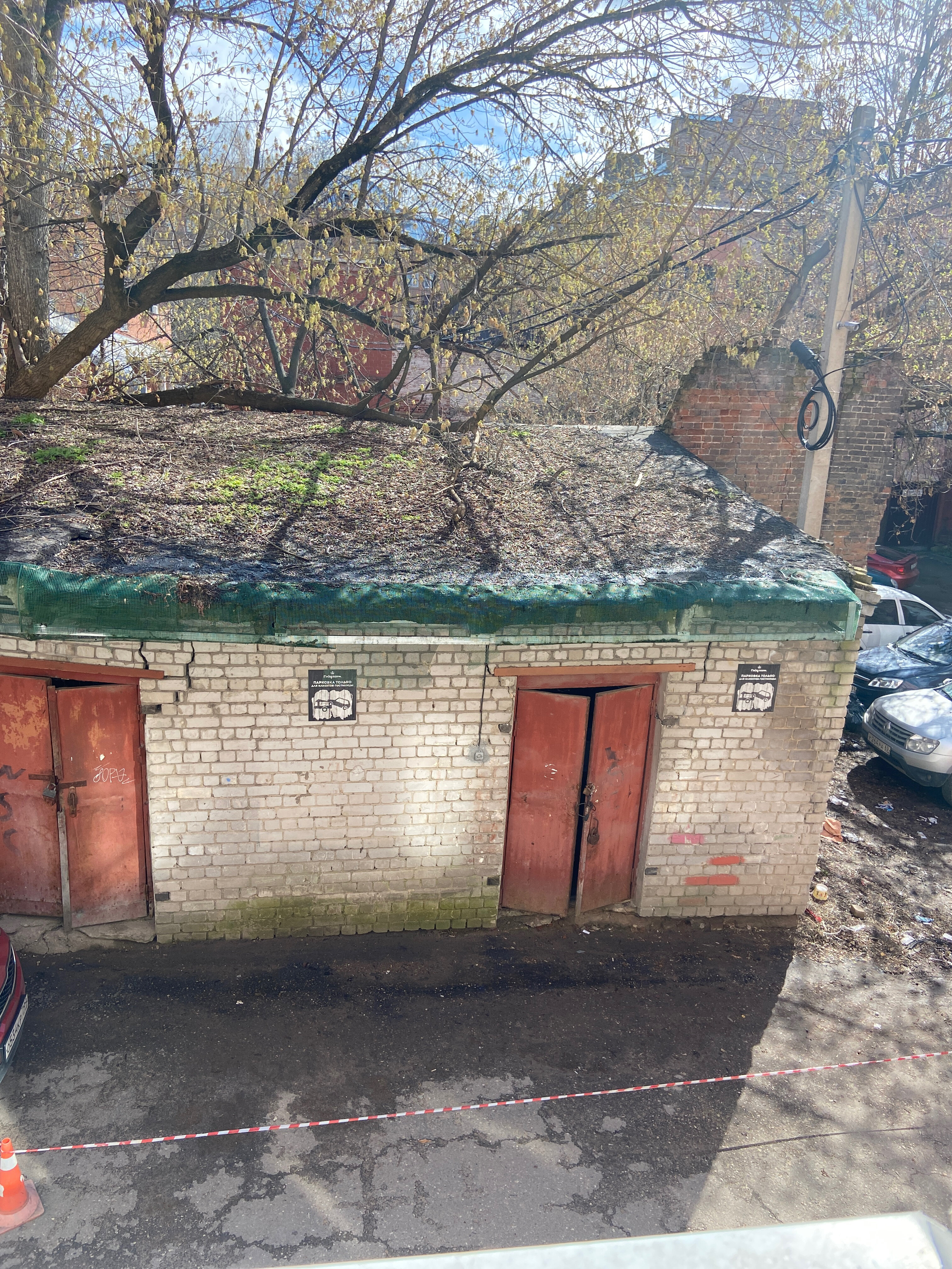 Фото Гайд Парк