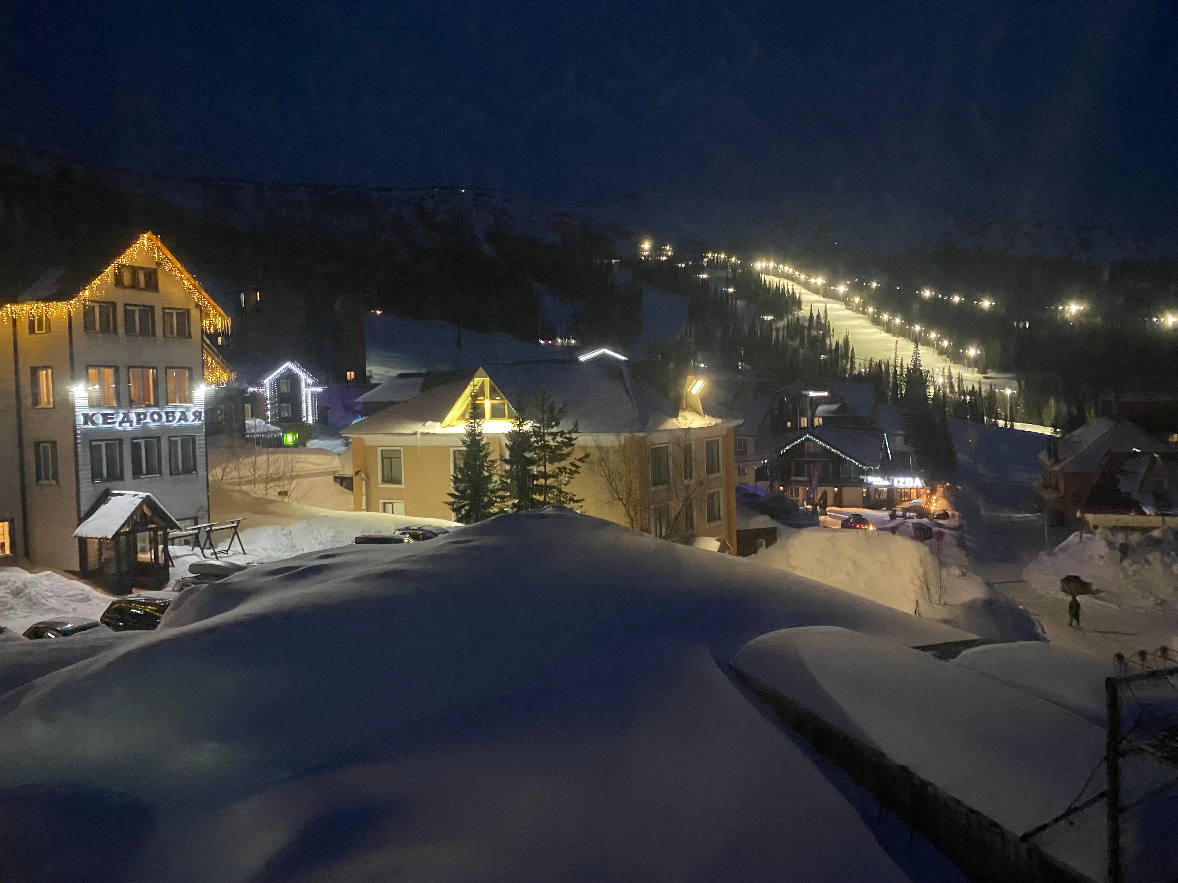 Фото Медведица