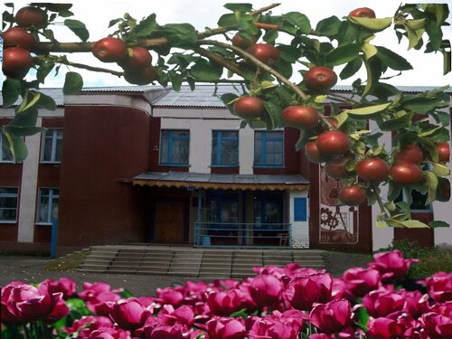Общеобразовательная школа МБОУ Новопреображенская СШ, Новосибирская область, фото