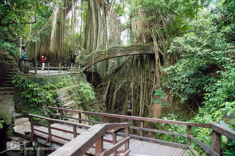 Фото Ubud Room's B&b