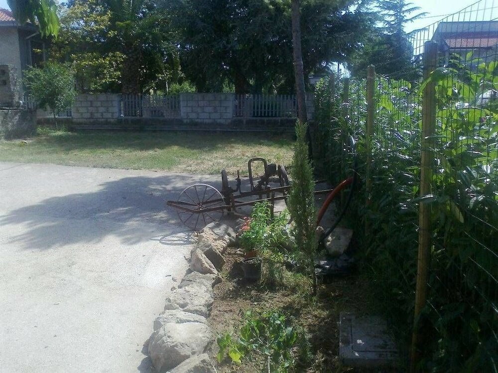 Фото Il Riccio Volante Bio B&b